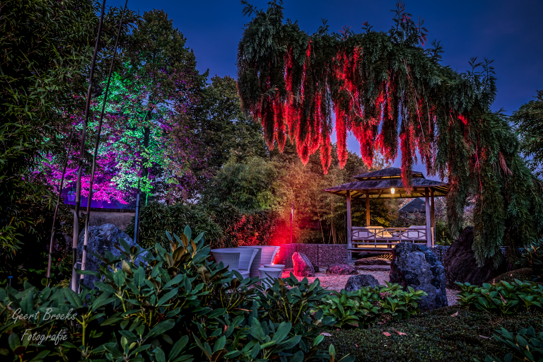 Bloemenpark Appeltern presenteert Mystery Gardens